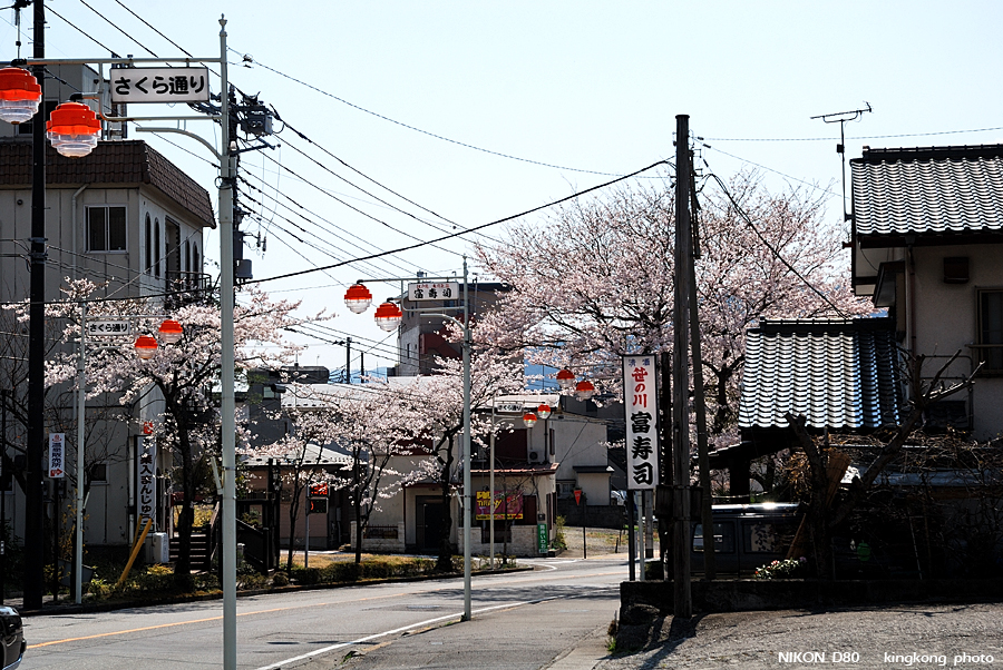 DSC_7424.jpg - 鬼怒川