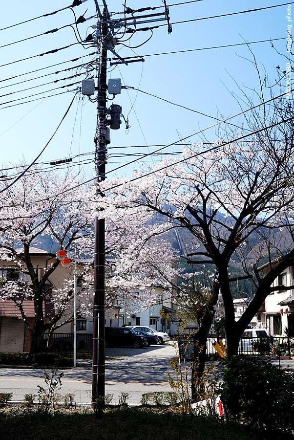 DSC_7430.jpg - 鬼怒川