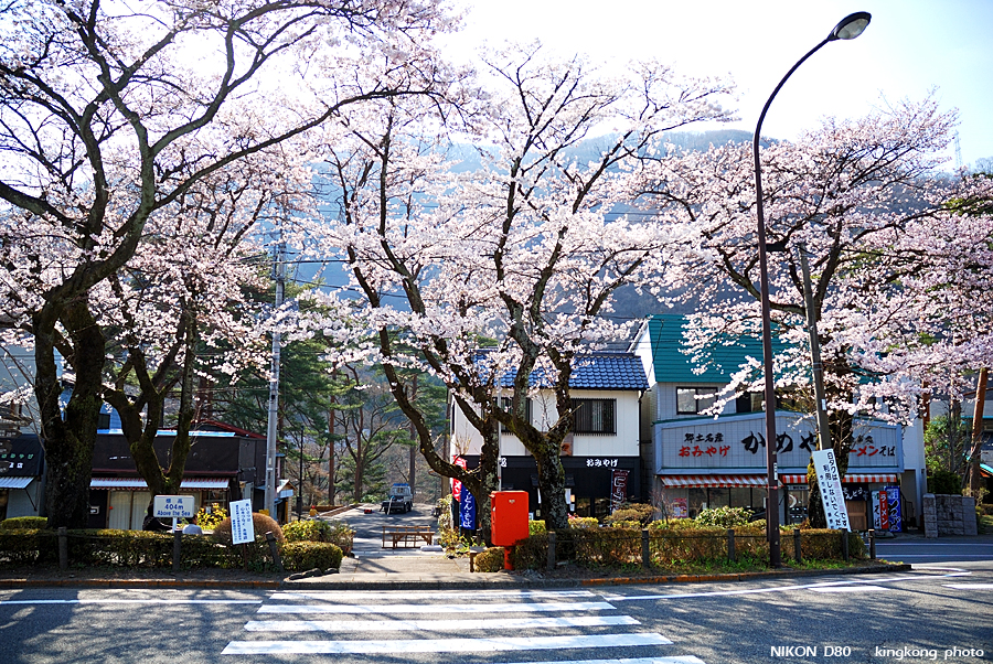 DSC_7479.jpg - 鬼怒川