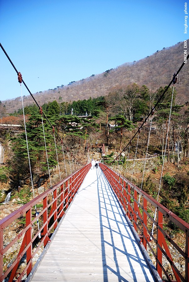 DSC_7493.jpg - 鬼怒川