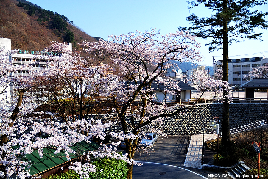 DSC_7503.jpg - 鬼怒川