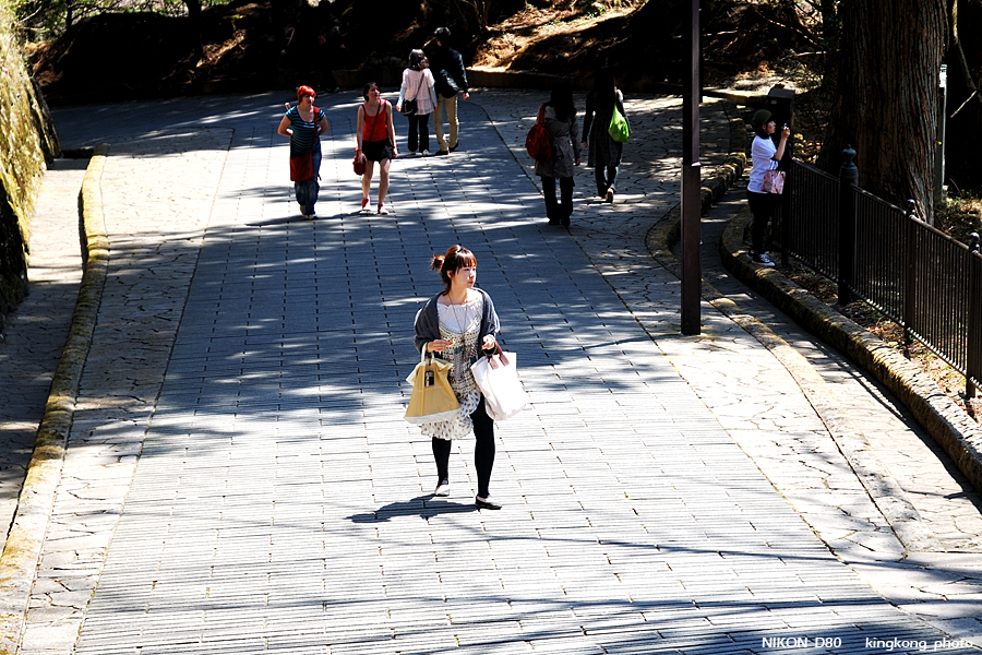 DSC_7683.jpg - 日光