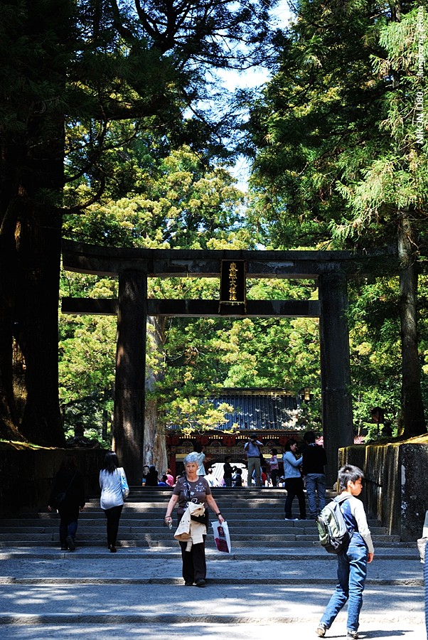 DSC_7717.jpg - - 世界遺產(東照宮, 輪王寺, 二荒山神社)