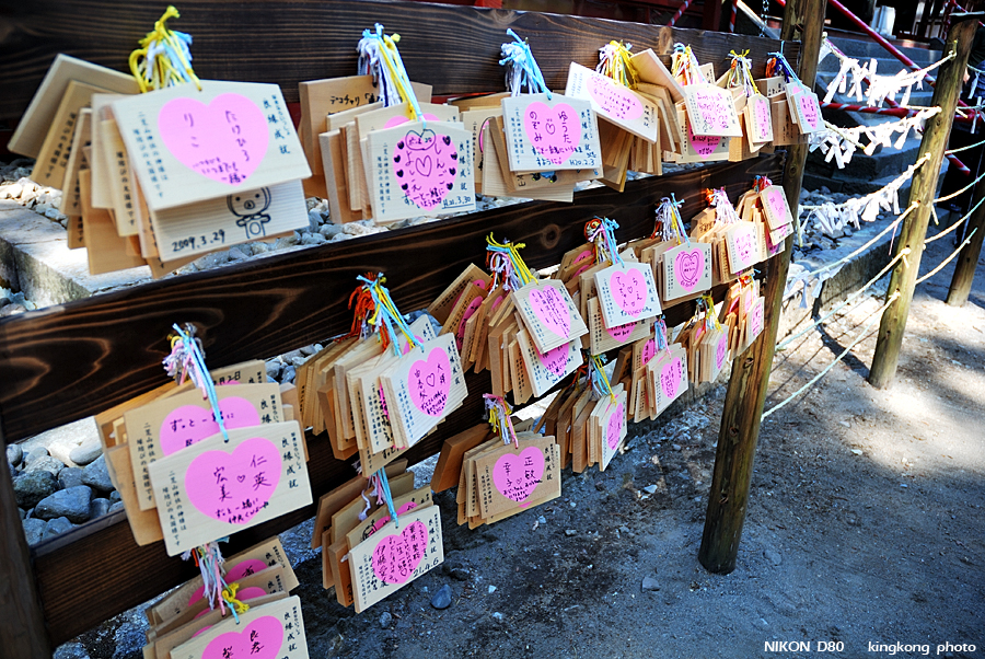 DSC_7874.jpg - - 世界遺產(東照宮, 輪王寺, 二荒山神社)