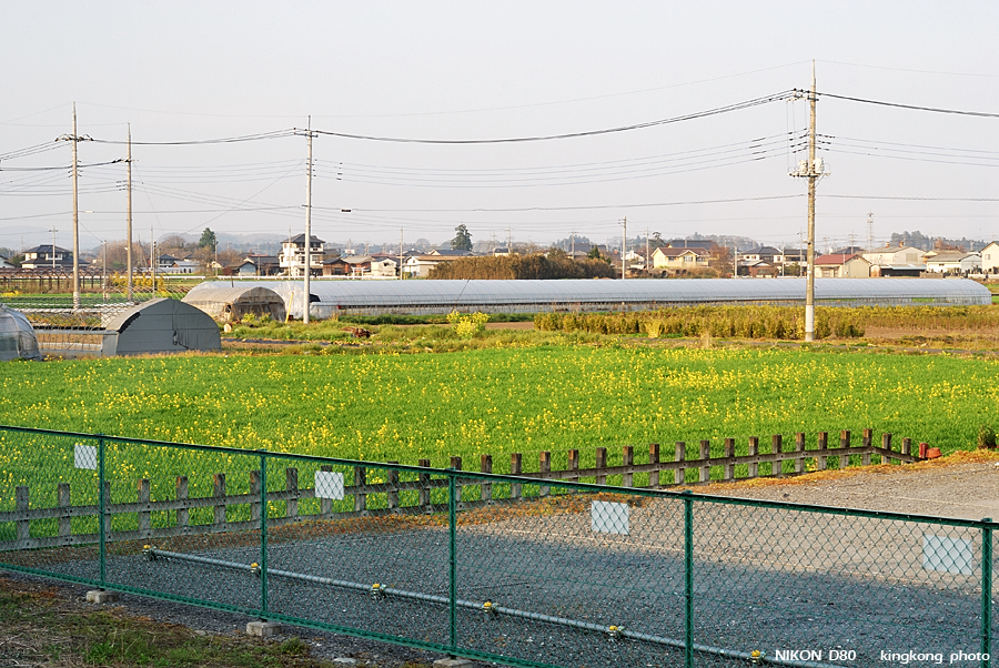 DSC_8023.jpg - 日光