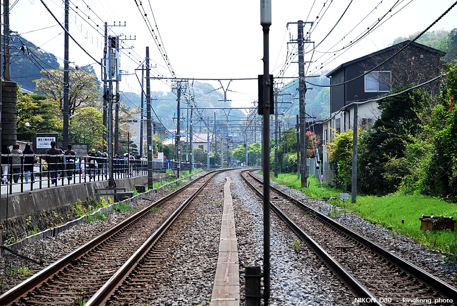 DSC_8060.jpg - 鎌倉