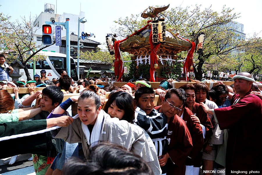 DSC_8386.jpg - 鎌倉 - 鎌倉祭