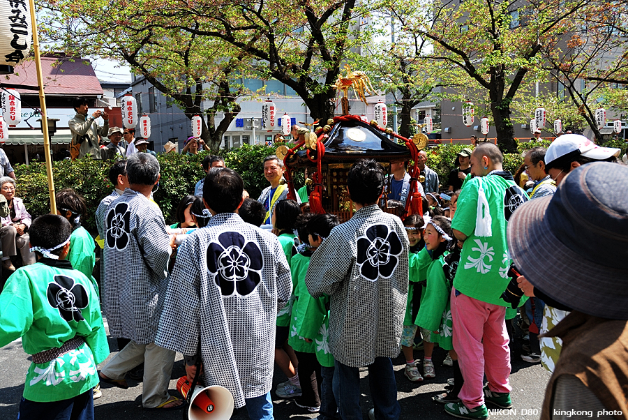 DSC_8394.jpg - 鎌倉 - 鎌倉祭