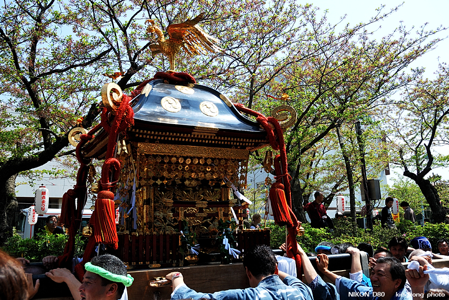 DSC_8412.jpg - 鎌倉 - 鎌倉祭