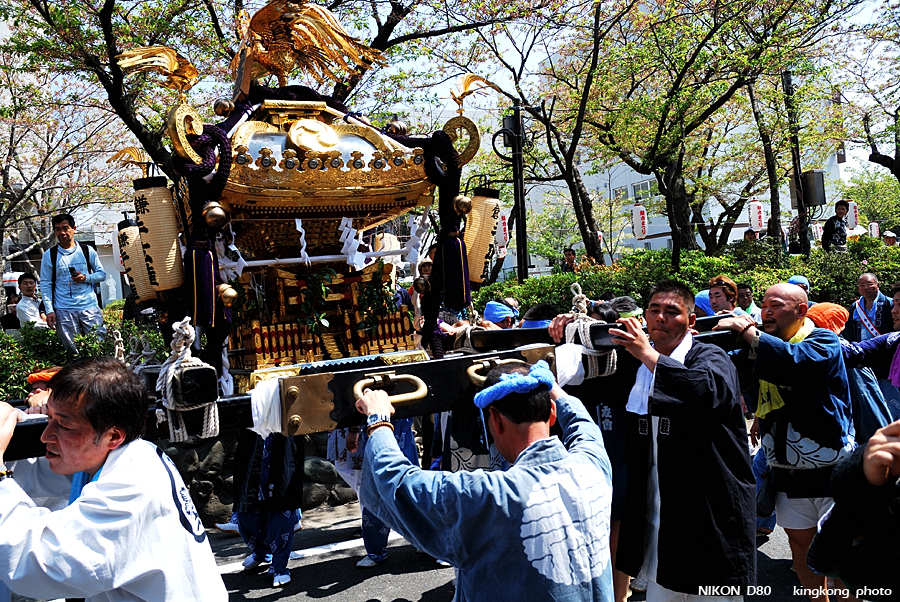 DSC_8431.jpg - 鎌倉 - 鎌倉祭