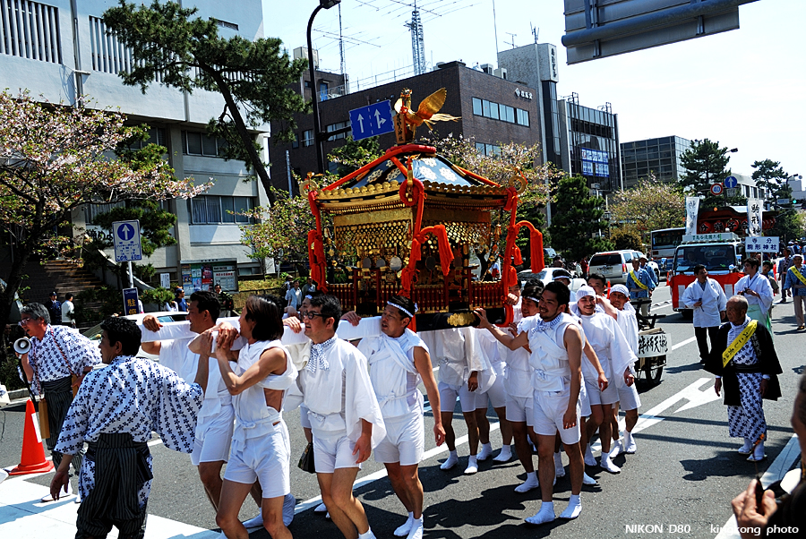 DSC_8437.jpg - 鎌倉 - 鎌倉祭