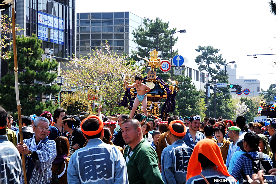 DSC_8440.jpg - 鎌倉 - 鎌倉祭
