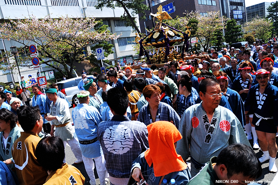 DSC_8449.jpg - 鎌倉 - 鎌倉祭