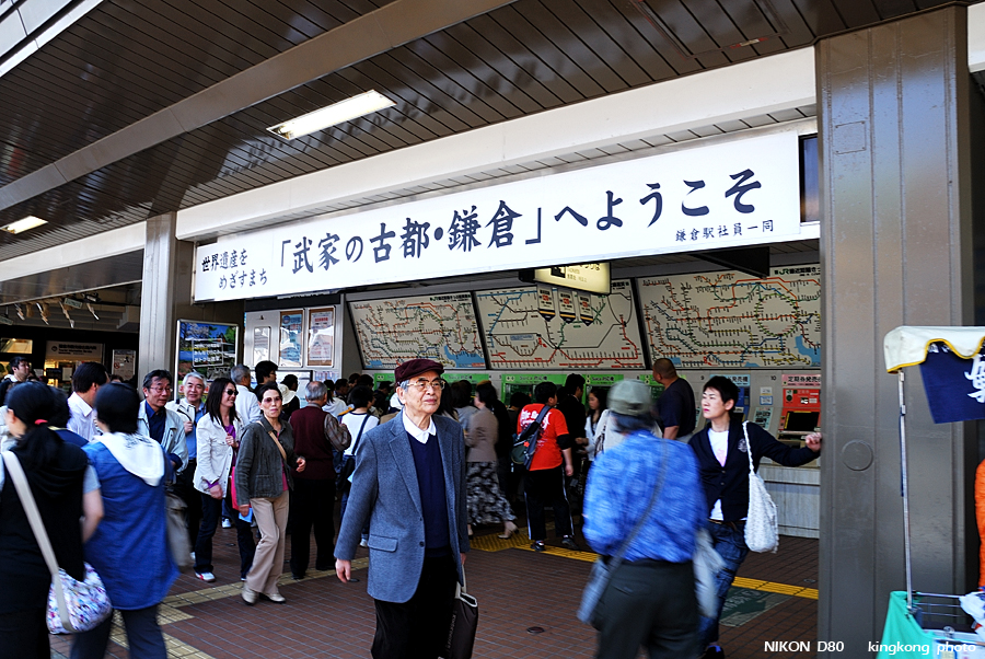 DSC_8459.jpg - 鎌倉