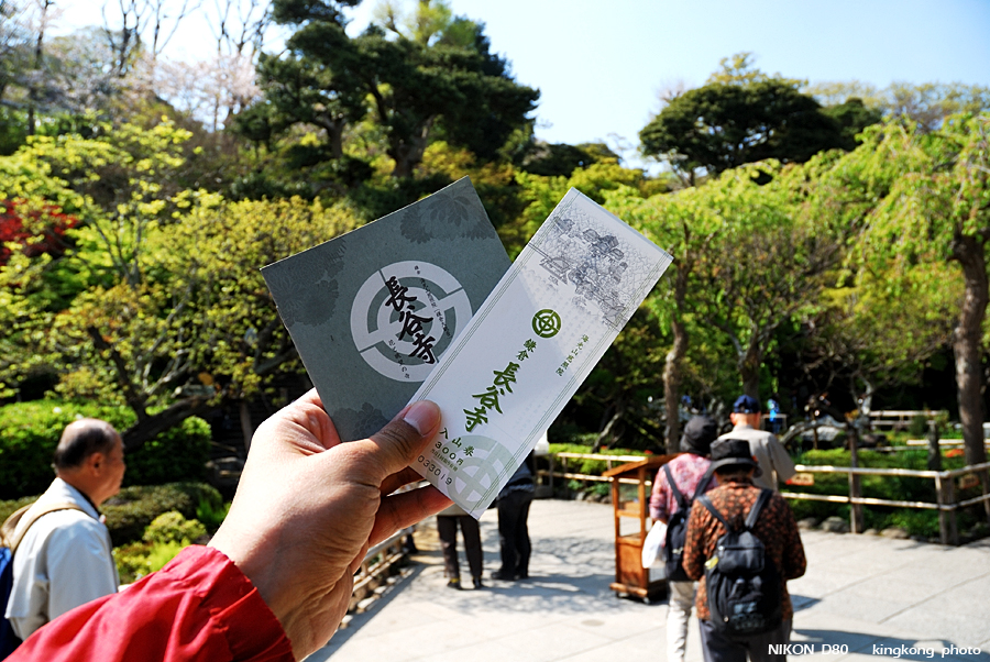 DSC_8478.jpg - 鎌倉 - 長谷寺