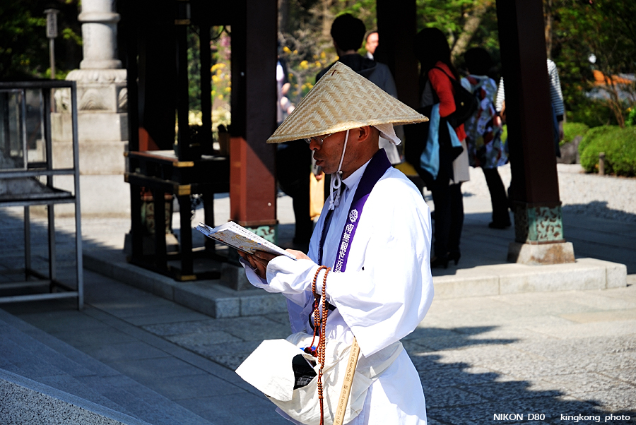 DSC_8495.jpg - 鎌倉 - 長谷寺