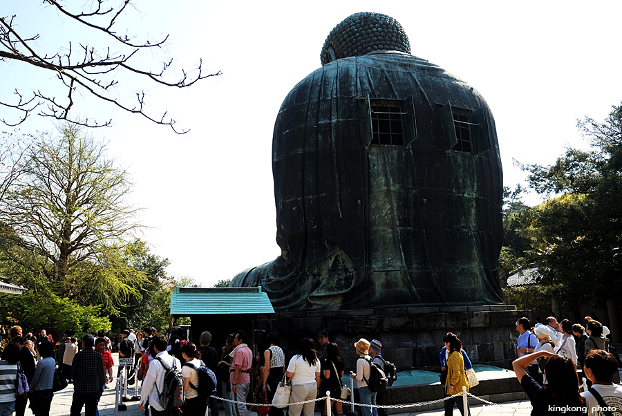 DSC_8546.jpg - 鎌倉 - 高德院
