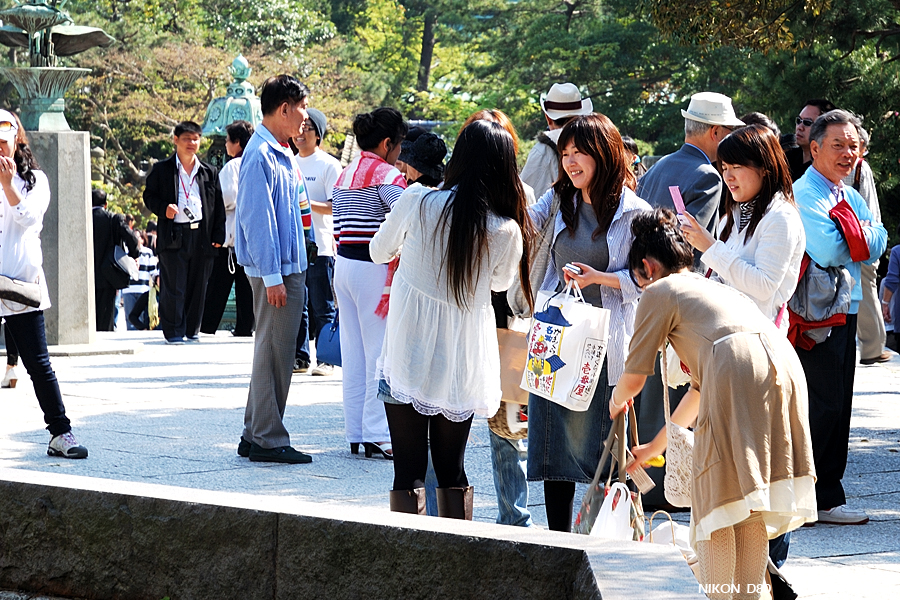 DSC_8547.jpg - 鎌倉 - 高德院