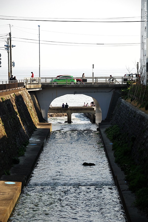 DSC_8607.jpg - 鎌倉 - 七里ヶ浜