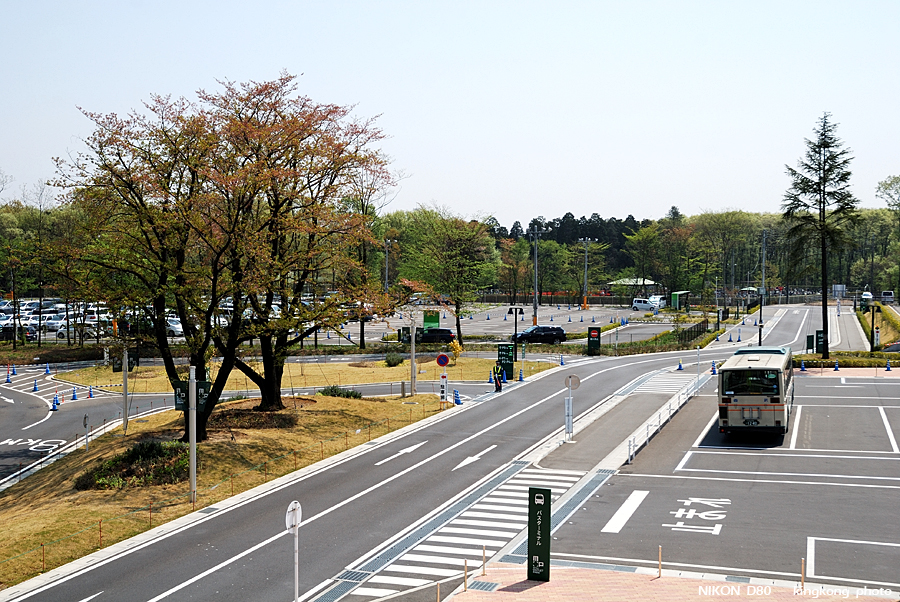 DSC_8901.jpg - 入間市