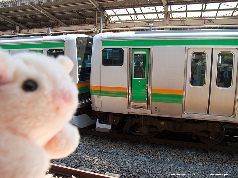 IMG_2319.jpg - 池袋