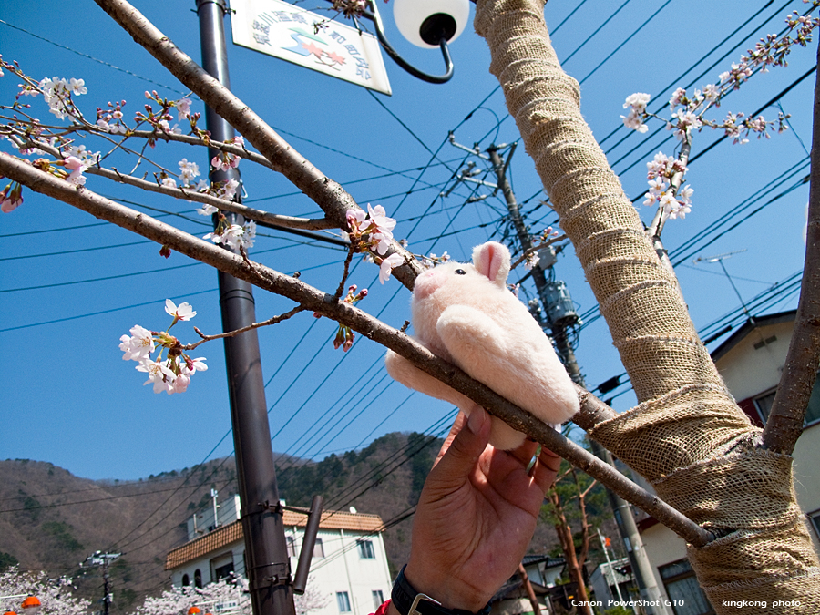 IMG_2325.jpg - 鬼怒川