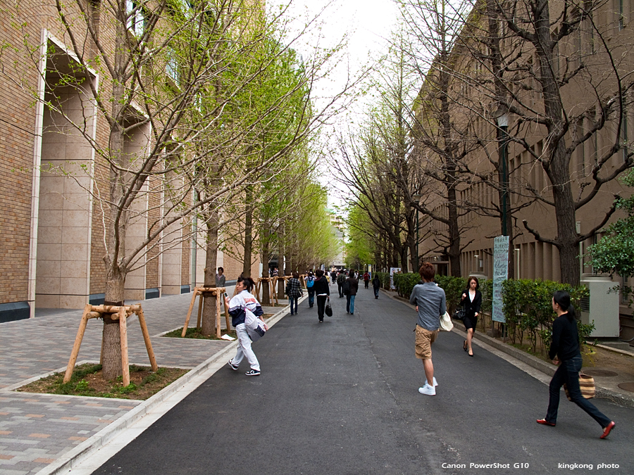 IMG_2939.jpg - 早稻田大學