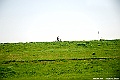 DSC_7350