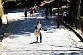 DSC_7683