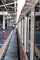 DSC_8000