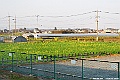 DSC_8023