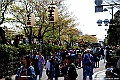 DSC_8422