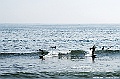 DSC_8651
