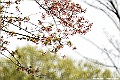 DSC_8908