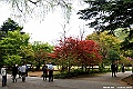 DSC_8969