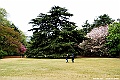 DSC_8982
