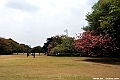 DSC_8988