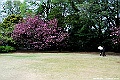 DSC_8999