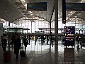 IMG_2123
