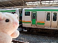 IMG_2319