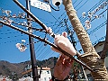 IMG_2325