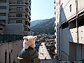 IMG_2329