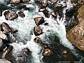 IMG_2331