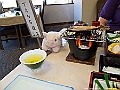 IMG_2379