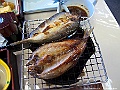 IMG_2386