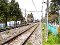 IMG_2446