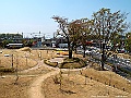 IMG_2583