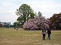 IMG_2816