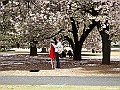 IMG_2817