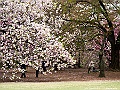 IMG_2819
